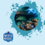 Prescription Snorkel Masks: How to See Clearly Underwater with the Right Lenses