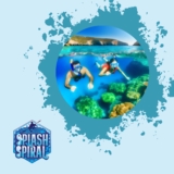 Private Snorkeling Charters in the Great Barrier Reef: Exclusive Adventures for Marine Lovers