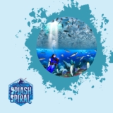 Sea Ice Ecosystems Diving in Polar Regions