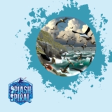 Seabird Conservation The Connection Between Air and Sea