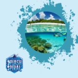 Snorkel Mask Sizes: Finding the Perfect Fit for Comfortable and Clear Snorkeling