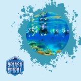 Snorkeling in Fiji: Swim with Vibrant Marine Life and Pristine Coral Reefs