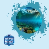 Snorkeling in Indonesia: Your Gateway to Pristine Reefs and Exotic Marine Life