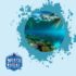 Philippines Snorkeling Spots: Hidden Gems You Won’t Want to Miss