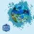 Ocean Acidification Impacts on Dive Sites and Marine Life