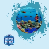 Sustainable Fishing Practices What Divers Should Know