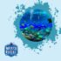 Marine Mammal Conservation How Divers Can Help Protect Whales and Dolphins