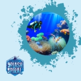 Symbiotic Relationships in the Ocean A Diver’s Guide