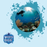 The Art of Wide-Angle Underwater Photography Composition Tips