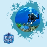 The Role of Scuba Divers in Combating Invasive Marine Species