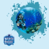The Ultimate Guide to Underwater Photography for Beginners