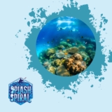 Top Hawaii Snorkeling Locations: Dive into Crystal-Clear Waters and Vibrant Reefs