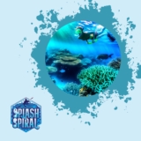 Top Red Sea Snorkeling: Explore Egypt’s Underwater Treasures