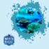 Snorkeling in Seychelles: Crystal-Clear Waters and Exotic Marine Life Await