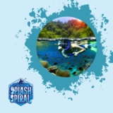 Top Snorkel Beaches on the Hawaiian Islands: Explore the Best Shores for Snorkeling