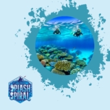 Top Snorkeling Locations in Greece: Discover Ancient Waters and Hidden Coves