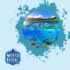 Best Caribbean Snorkeling: From the Bahamas to the Virgin Islands