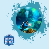 Top Underwater Photography Techniques for Cenotes