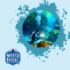 Capturing the Beauty of Kelp Forests Photography Tips
