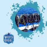 What does bcd stand for in scuba diving
