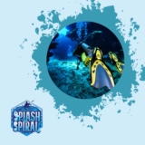 What does ssi stand for in scuba diving?